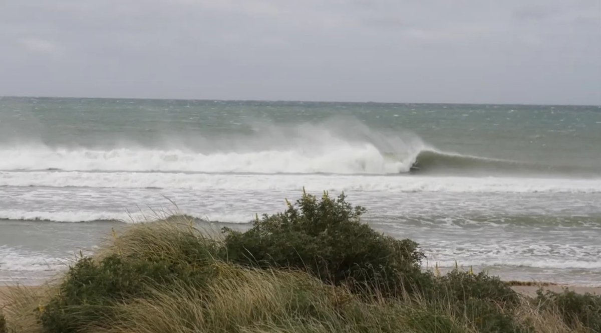A wind-blown peak feathers across the bay on a raw Southland day, Curio Bay surf spot, Catlins / Southland, New Zealand.