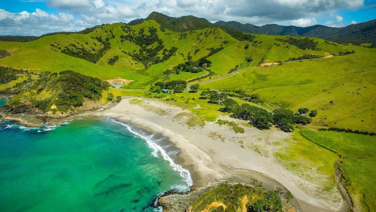 Lush green hills meeting clear water at the bay, Elliot Bay surf spot, Northland East, New Zealand.