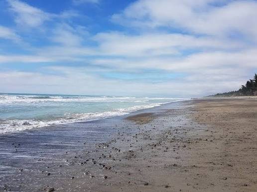 The sand and shingle beach on a small, clean day, quiet banks stretching up the bay with the pines in the distance, Leithfiel