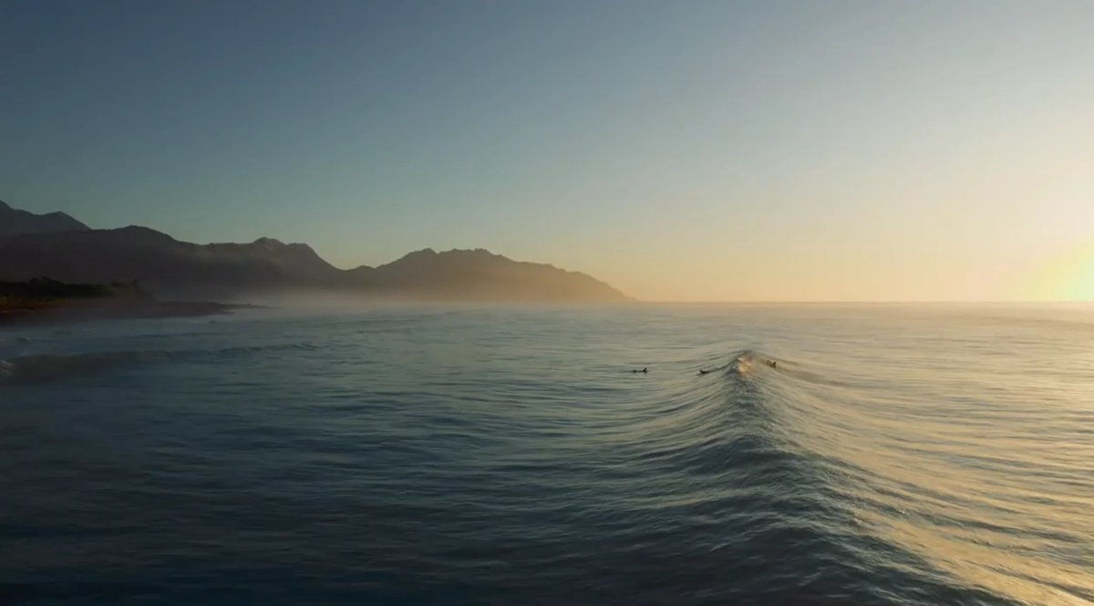 Paddling out into a golden, misty morning, the mountains stacked along the coast behind, Meatworks surf spot, Kaikoura / Nort