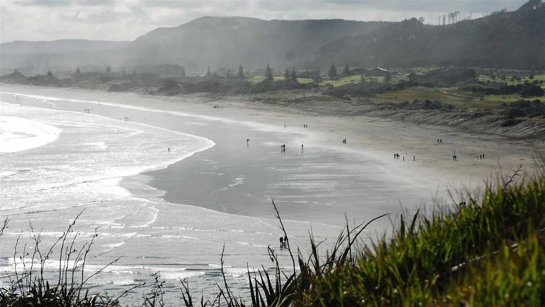 Misty morning on the main beach, Muriwai surf spot, Auckland West, New Zealand.