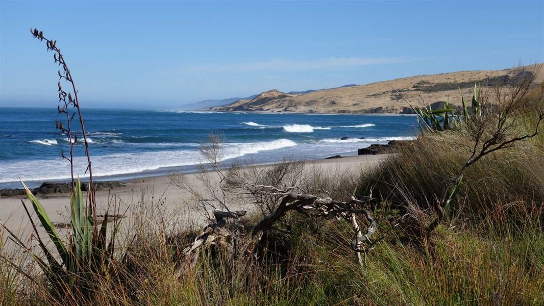 Waimamaku surf spot